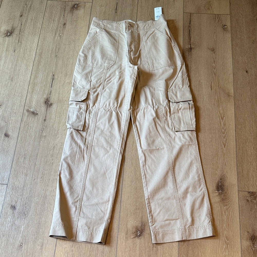 Abercrombie and Fitch Curve Love cargo pants
